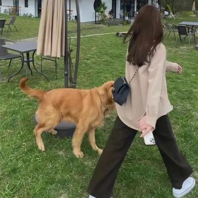 生死不渝